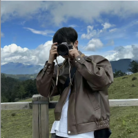 Xiaohuojian NPV for China Ryan Profile
